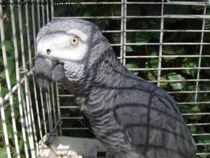 Rhodes - Our 8th Atlantis cruise (Brilliance of the Seas)