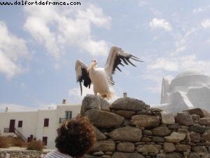 Mykonos - Our 3rd Atlantis cruise (Celebrity Millenium)