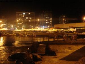 Punta Del Este - Our 12th Atlantis cruise (Oceania Insigna)