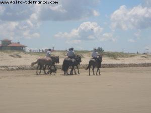 Rio Grande do Sul - Our 12th Atlantis cruise (Oceania Insigna)