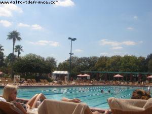 Dolphin Hotel - Walt Disney World