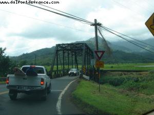 Lihue - Our 13th Atlantis cruise (Pride of Hawaii)