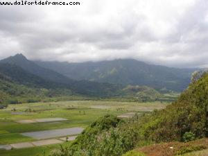 Lihue - Our 13th Atlantis cruise (Pride of Hawaii)