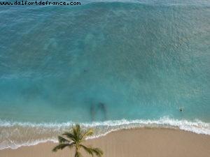 Hotel Sheraton Waikiki - Honolulu