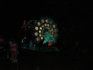 Magic Kingdom - Disney Gaydays - Walt Disney Word