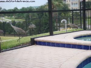 Mannequin Palace - Pleasure Island - Disney Gaydays - Walt Disney Word