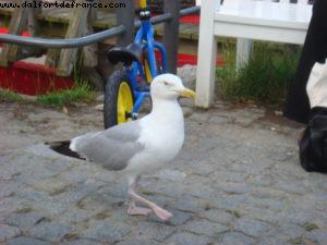 Warnemunde - Our 14th Atlantis cruise (Celebrity Constellation)