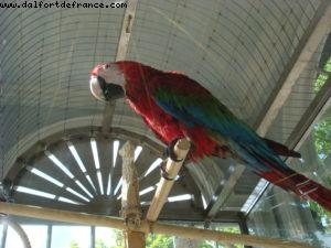 Peterhoff- St Petersburg - Our 14th Atlantis cruise (Celebrity Constellation)