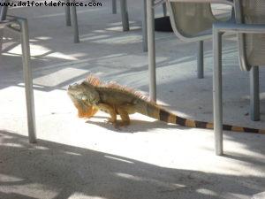 Our 18th Atlantis (Puerto Vallarta)