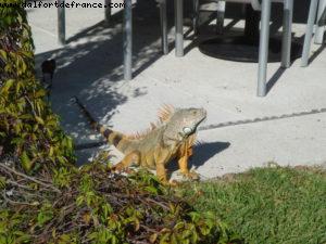 Our 18th Atlantis (Puerto Vallarta)