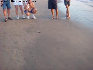 Our 18th Atlantis (Puerto Vallarta)