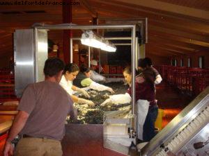 Robert Mondavie Vineyard - Napa Valley 