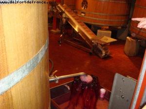 Robert Mondavie Vineyard - Napa Valley 