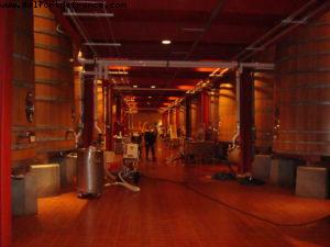 Robert Mondavie Vineyard - Napa Valley 