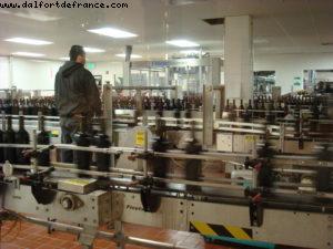 Robert Mondavie Vineyard - Napa Valley 