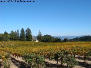 Smith Madrone Vineyard - Napa Valley 
