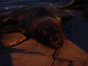 Punta Del Este - Uruguay - Our 20th Atlantis cruise (Celebrity Infinity)