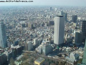Government tower - Shinjuku - Tokyo