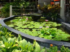 Hotel Holiday Inn - Patong - Phuket