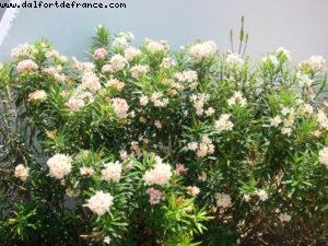 Our 21st Atlantis (Cancun)