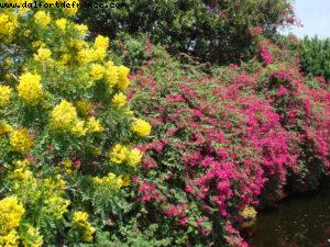 Epcot - Gaydays - Walt Disney World