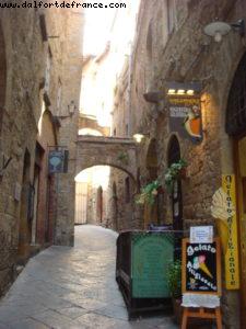 Volterra - Our 22nd Atlantis cruise (Navigator of the seas)