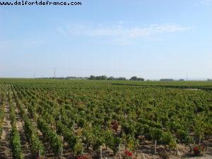 Pauillac