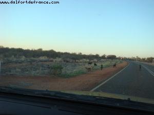Uluru (Ayers Rock)