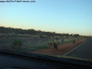 Uluru (Ayers Rock)