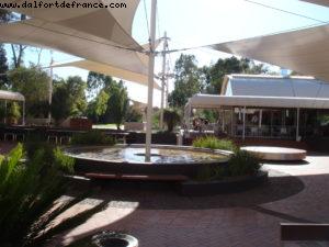 The Lost Camel - Uluru (Ayers Rock)
