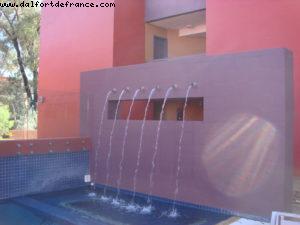 The Lost Camel - Uluru (Ayers Rock)