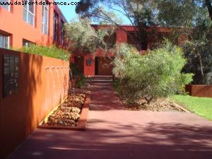 The Lost Camel - Uluru (Ayers Rock)
