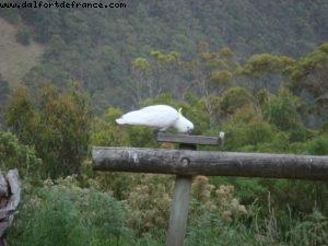 Beacon Point Ocean View Villas - Great Ocean Road