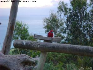 Beacon Point Ocean View Villas - Great Ocean Road