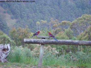 Beacon Point Ocean View Villas - Great Ocean Road