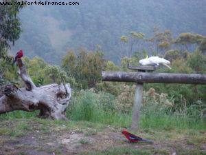 Beacon Point Ocean View Villas - Great Ocean Road
