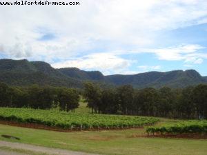 Tyrrell's Wine - Hunter Valley