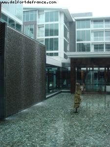 Westin Hotel - Auckland