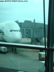 A380 SYD->SIN - Singapore Airline