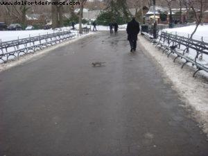 Ville de New York