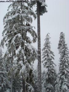 Gay Ski Week - Whistler - British Colombia