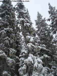 Gay Ski Week - Whistler - British Colombia