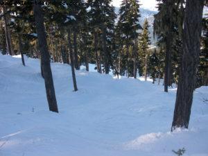 Gay Ski Week - Whistler - British Colombia