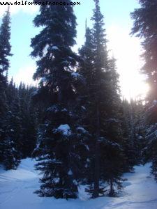 Gay Ski Week - Whistler - British Colombia