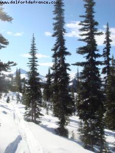 Gay Ski Week - Whistler - British Colombia