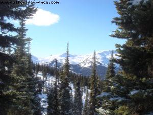 Gay Ski Week - Whistler - British Colombia