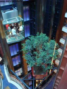 Our 25th Atlantis cruise (Celebrity Solstice)