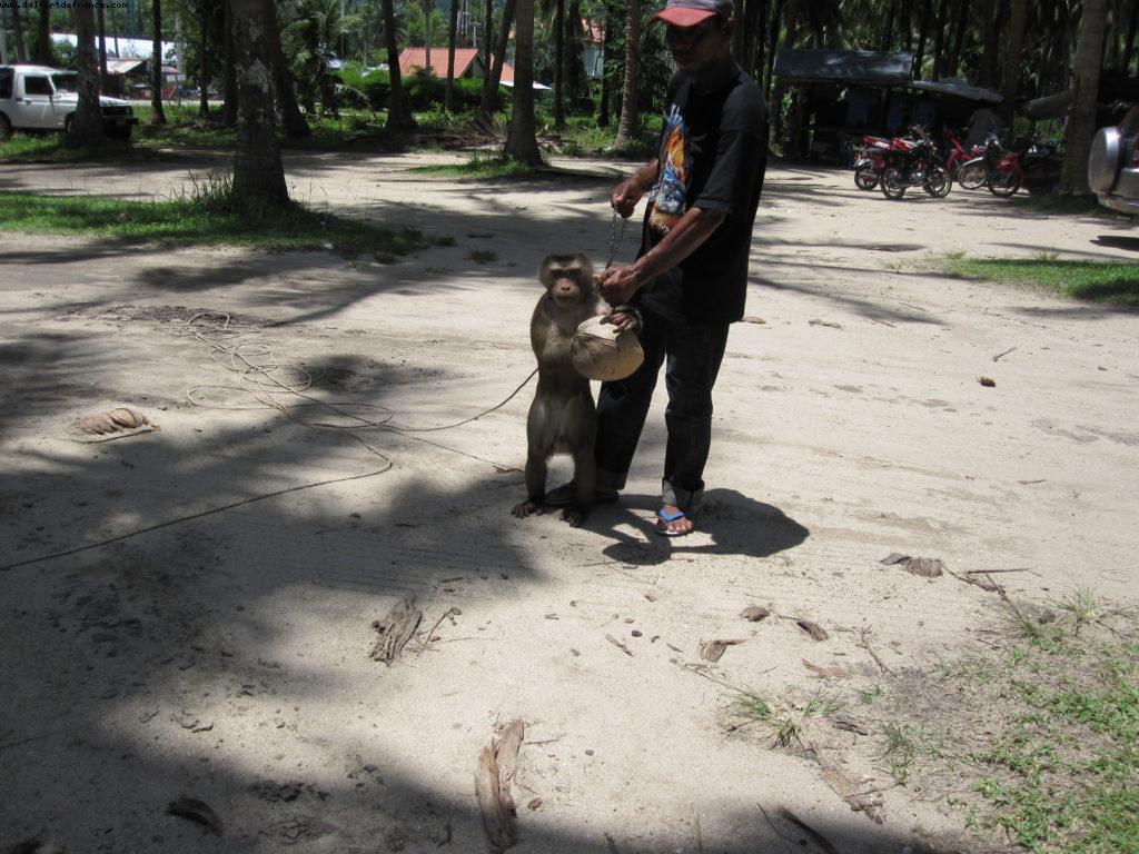 Koh Samui - Our 26th Atlantis cruise (Azamara Quest)