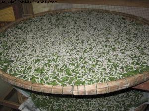 Hoi an - Our 26th Atlantis cruise (Azamara Quest)