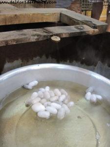 Hoi an - Our 26th Atlantis cruise (Azamara Quest)